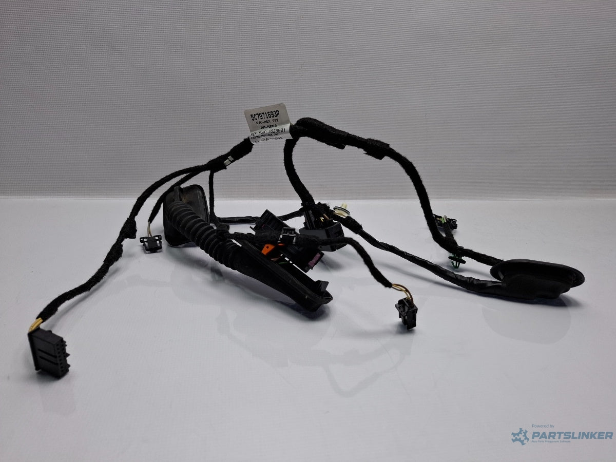 Instalatie electrica usa stanga spate VOLKSWAGEN JETTA IV 162, 163, AV3, AV2 2009 - > TDI CAYC 5C7971693P