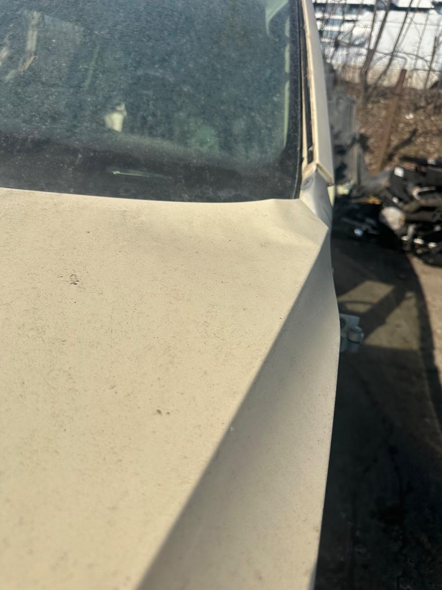 Capota cu defect  VOLKSWAGEN PASSAT B8 2014 - 2019