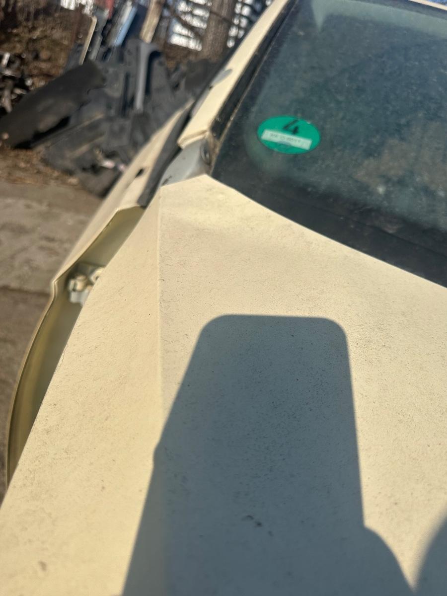 Capota cu defect  VOLKSWAGEN PASSAT B8 2014 - 2019