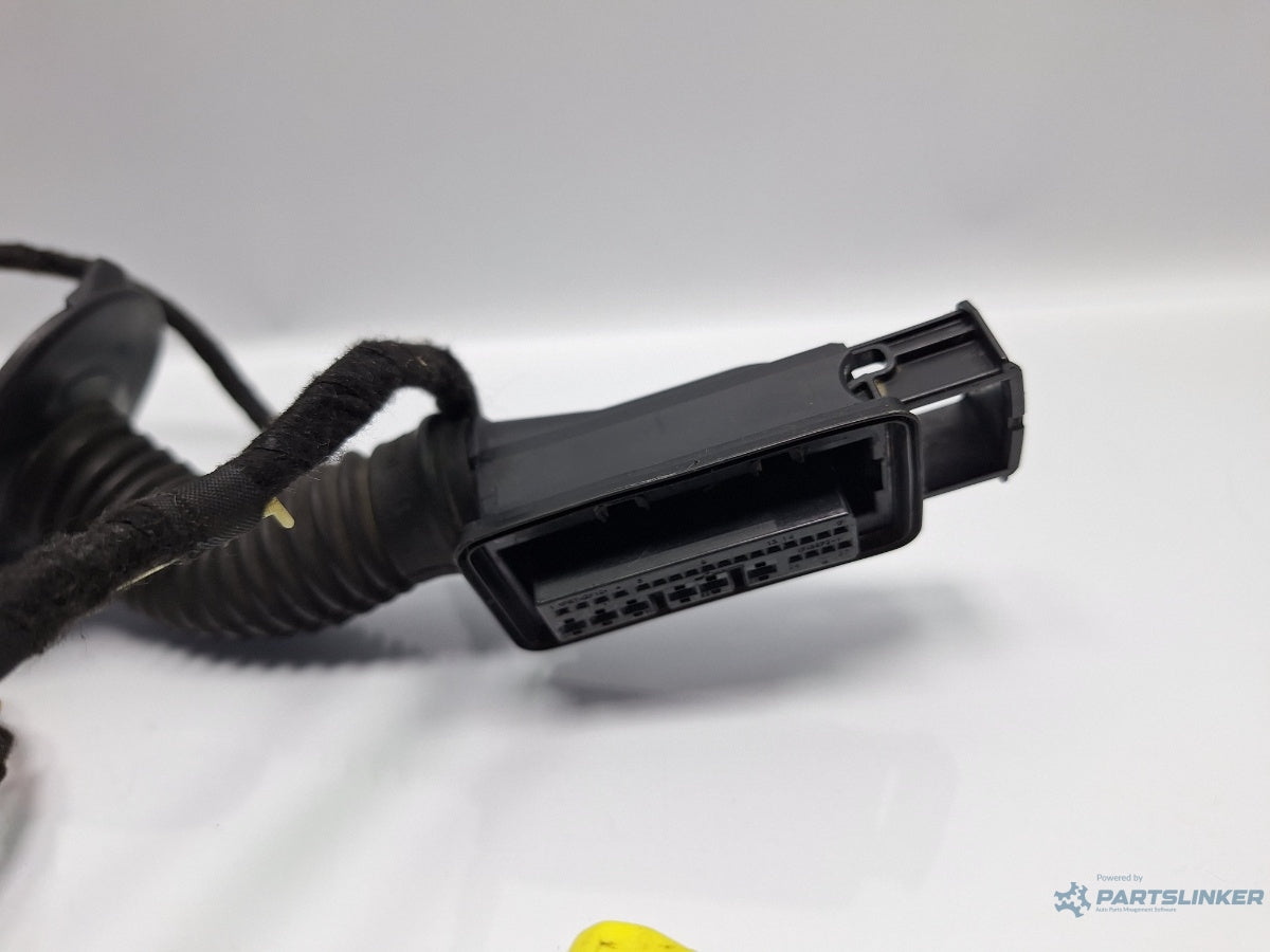 Instalatie electrica usa stanga fata AUDI A4 IV Avant 8K5, B8 2007 - 2015 TDI CAGA, CJCA, CMEA, CMFA 8K0971029B