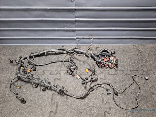 Cablaj instalatie motor AUDI A4 IV Avant 8K5, B8 2007 - 2015 TDI CAGA, CJCA, CMEA, CMFA 8K1971072AC