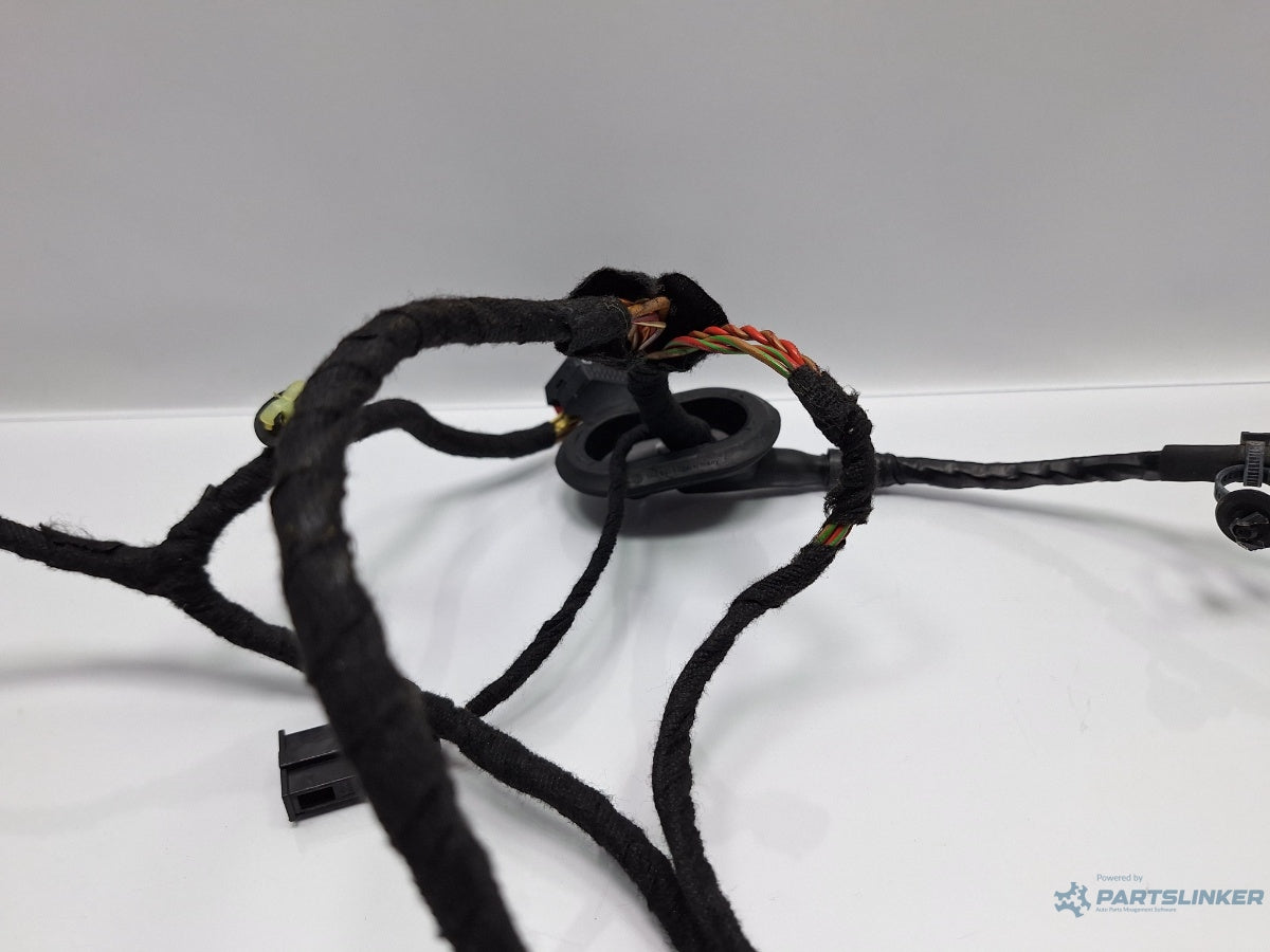 Instalatie electrica usa stanga fata VOLKSWAGEN PASSAT 3C2 2005 - 2010 TDI 16V BKP, CBAB 3C1971121BF