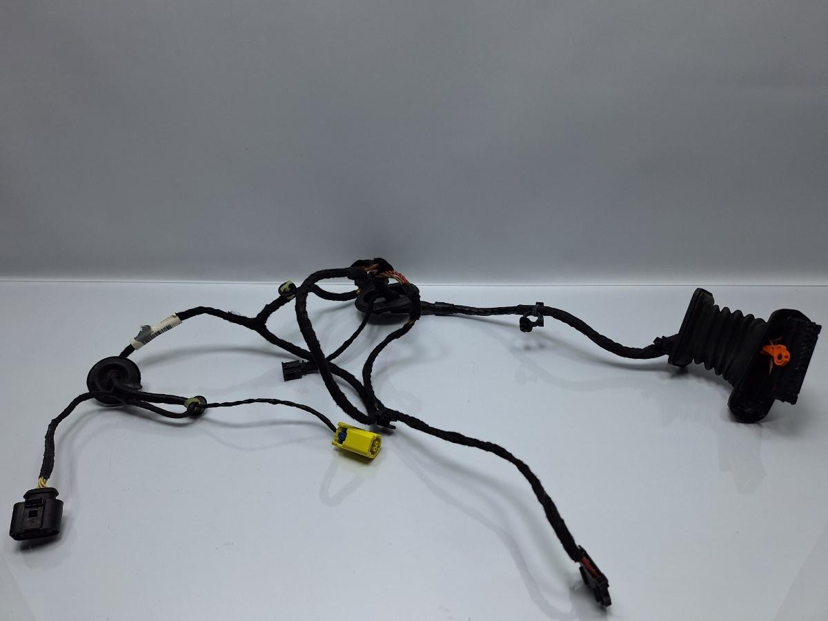 Instalatie electrica usa stanga fata VOLKSWAGEN PASSAT 3C2 2005 - 2010 TDI 16V BKP, CBAB 3C1971121BF