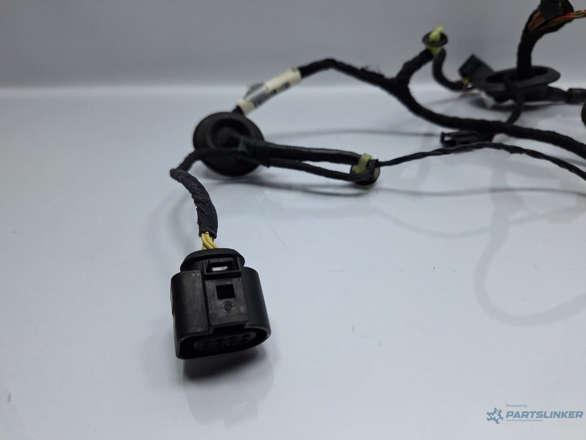 Instalatie electrica usa stanga fata VOLKSWAGEN PASSAT 3C2 2005 - 2010 TDI 16V BKP, CBAB 3C1971121BF