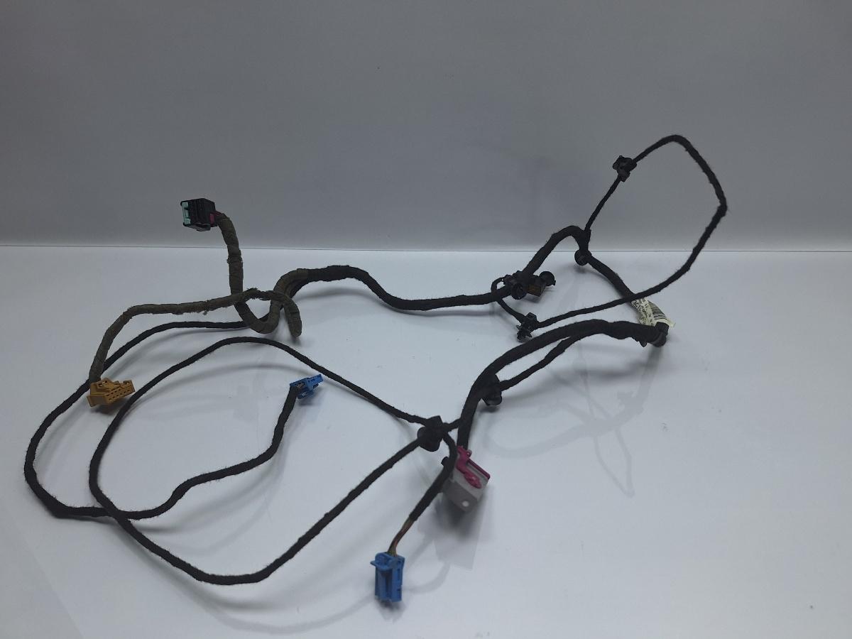 Instalatie electrica usa stanga fata VOLKSWAGEN PASSAT 3C2 2005 - 2010 TDI 16V BKP, CBAB 3C1971557AK
