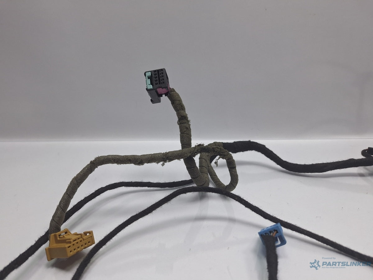 Instalatie electrica usa stanga fata VOLKSWAGEN PASSAT 3C2 2005 - 2010 TDI 16V BKP, CBAB 3C1971557AK