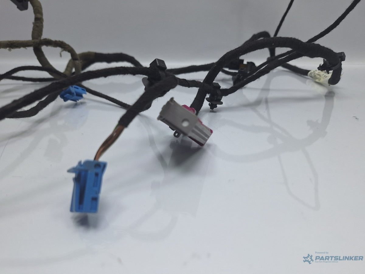 Instalatie electrica usa stanga fata VOLKSWAGEN PASSAT 3C2 2005 - 2010 TDI 16V BKP, CBAB 3C1971557AK