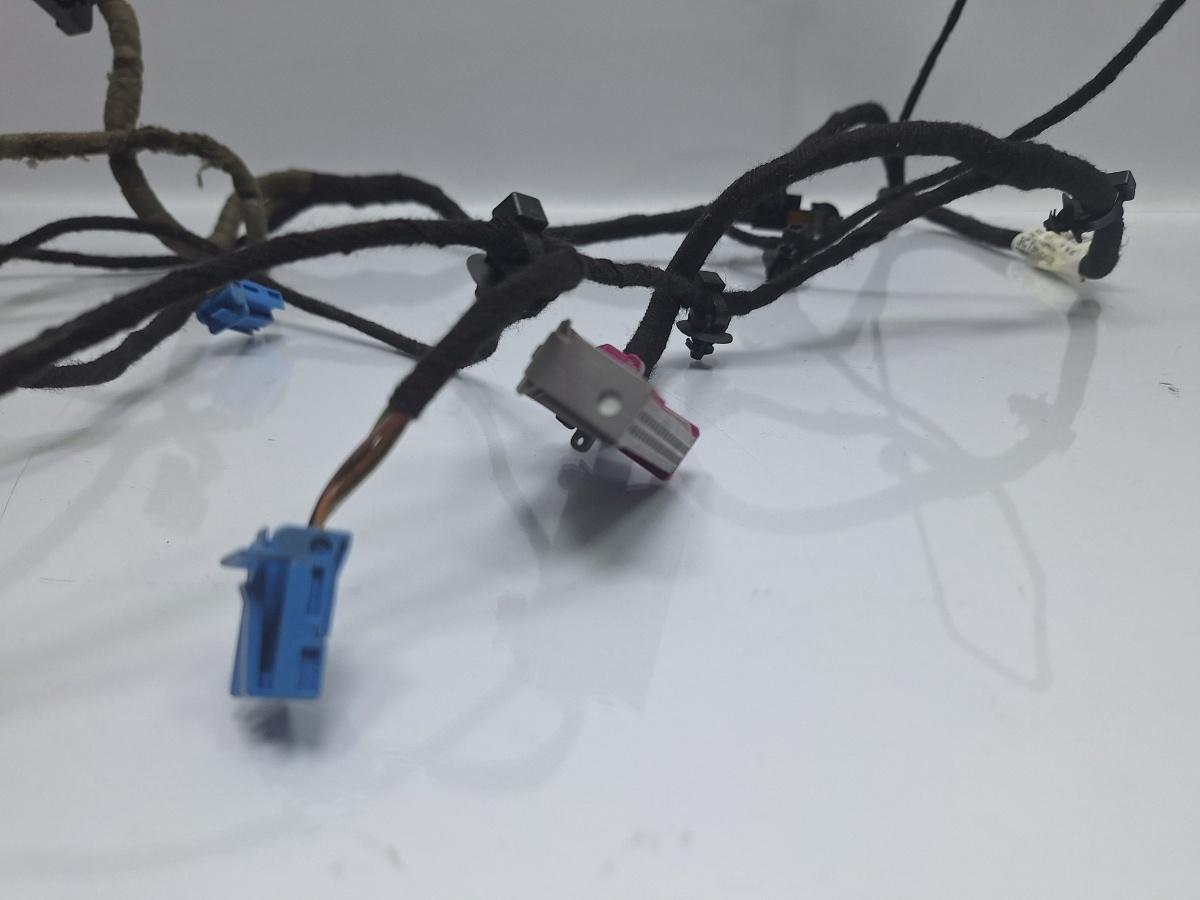 Instalatie electrica usa stanga fata VOLKSWAGEN PASSAT 3C2 2005 - 2010 TDI 16V BKP, CBAB 3C1971557AK