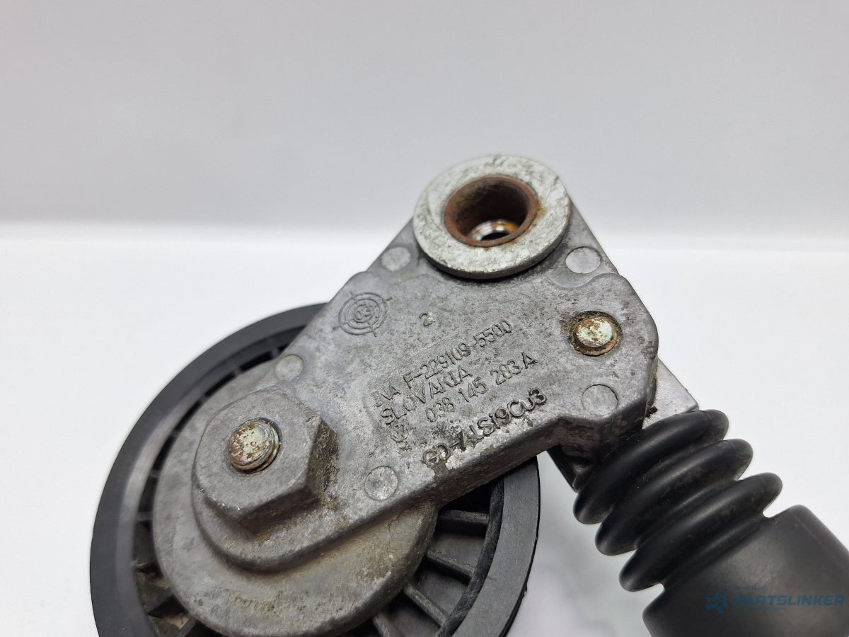 Intinzator curea accesorii SKODA SUPERB 3U4 2001 - 2008 TDI AVF, AWX 038145283A