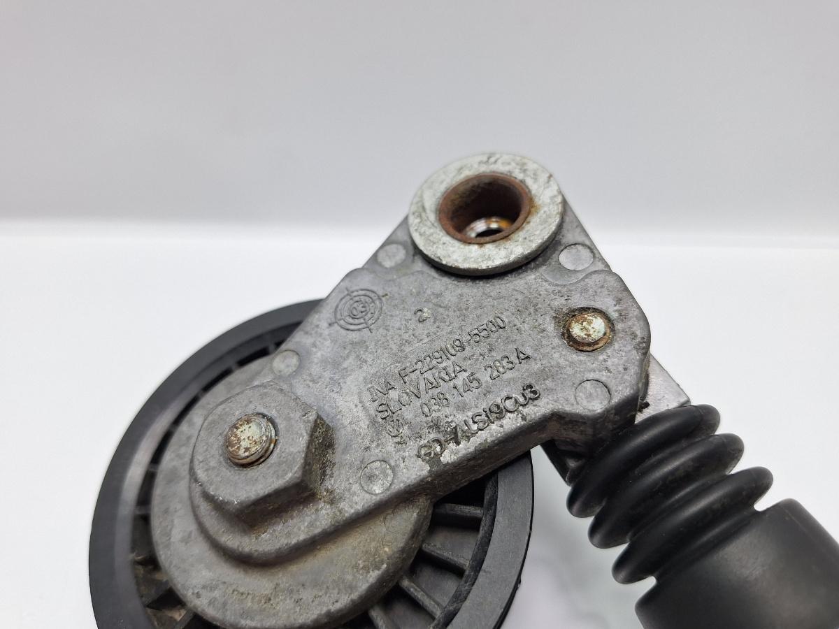Intinzator curea accesorii SKODA SUPERB 3U4 2001 - 2008 TDI AVF, AWX 038145283A