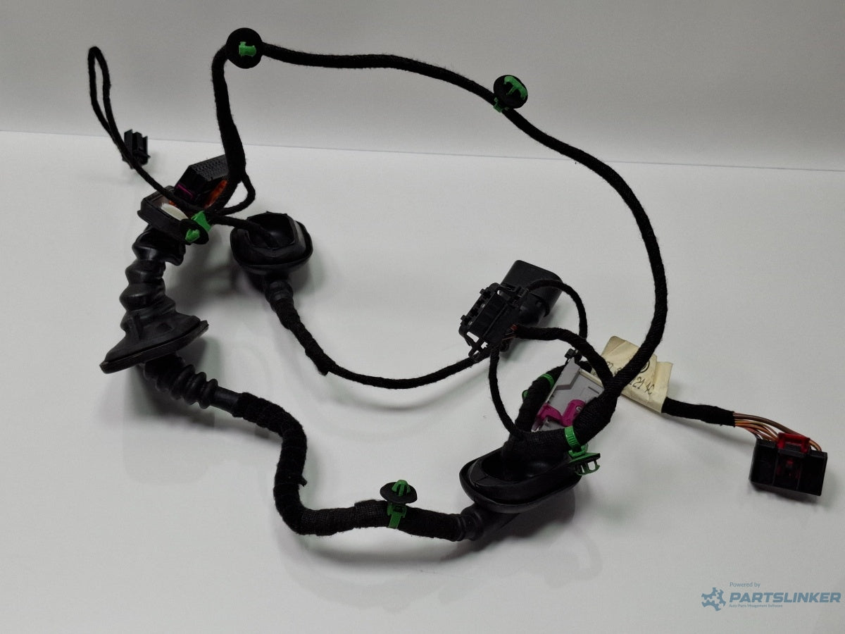 Instalatie electrica usa stanga fata VOLKSWAGEN TOURAN 1T1, 1T2 2003 - 2010 TDI BMM 1T0971121AC