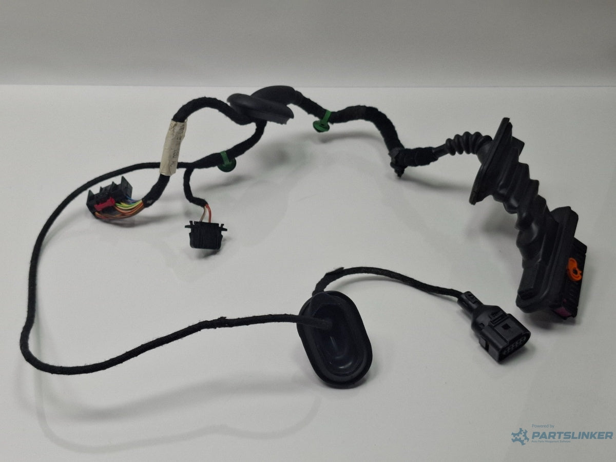 Instalatie electrica usa dreapta fata VOLKSWAGEN TOURAN 1T1, 1T2 2003 - 2010 TDI BMM 1T0971120AC