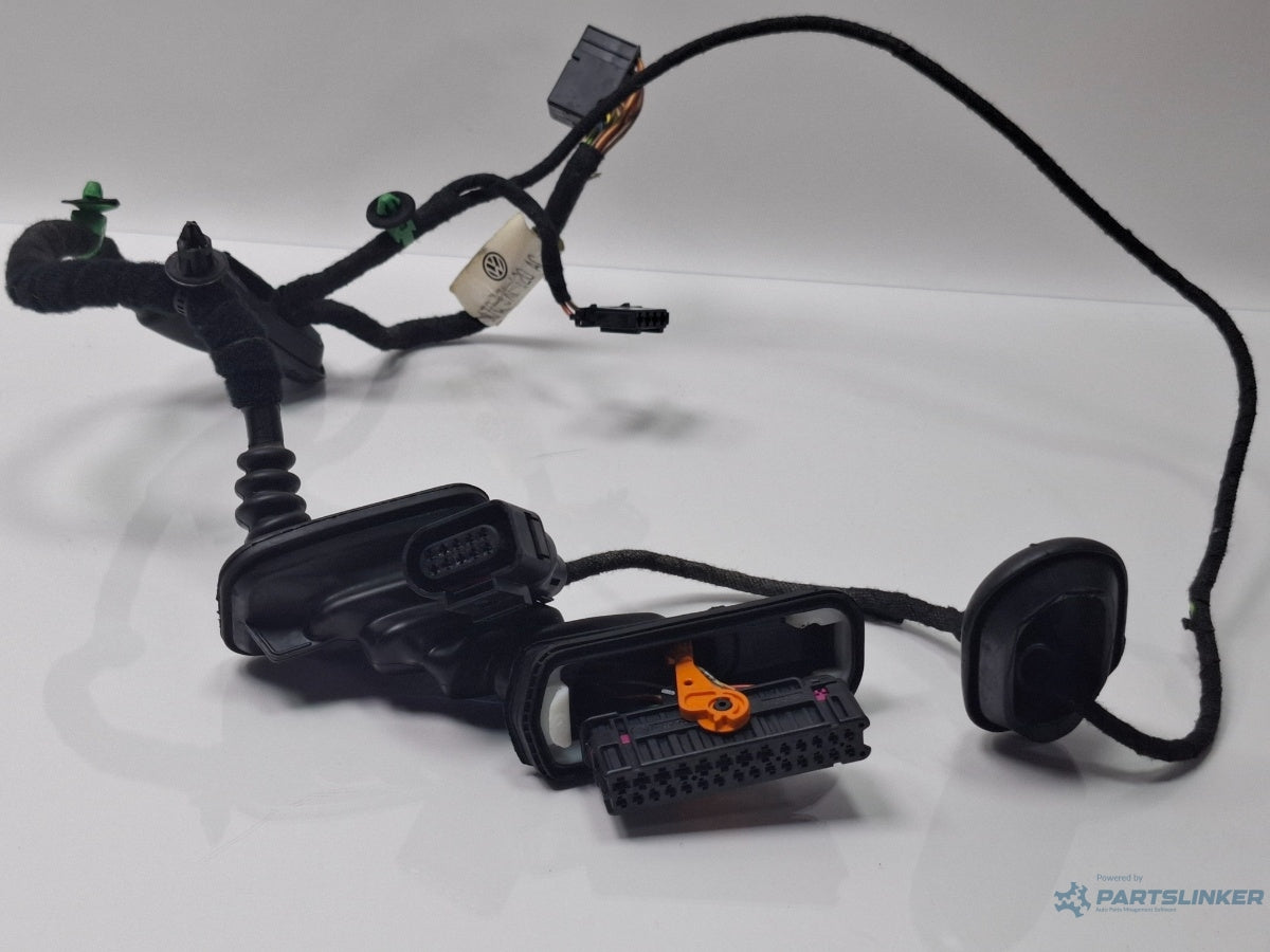 Instalatie electrica usa dreapta fata VOLKSWAGEN TOURAN 1T1, 1T2 2003 - 2010 TDI BMM 1T0971120AC