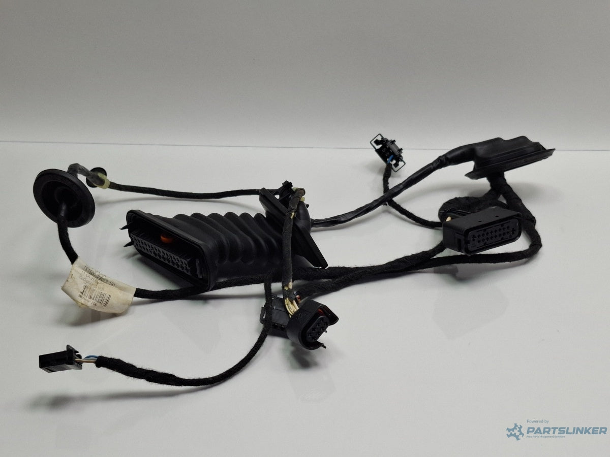 Instalatie electrica usa stanga spate VOLKSWAGEN PASSAT Variant 3C5 2005 - 2011 TDI BMP 3C4971693GT