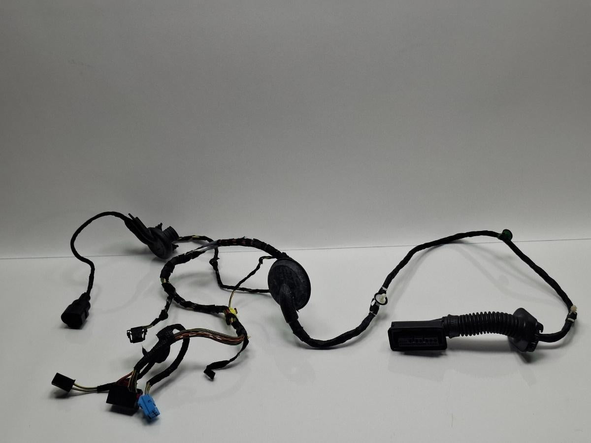 Instalatie electrica usa stanga fata AUDI A3 Sportback 8VA, 8VF 2012 - > TDI CLHA 8V4971029