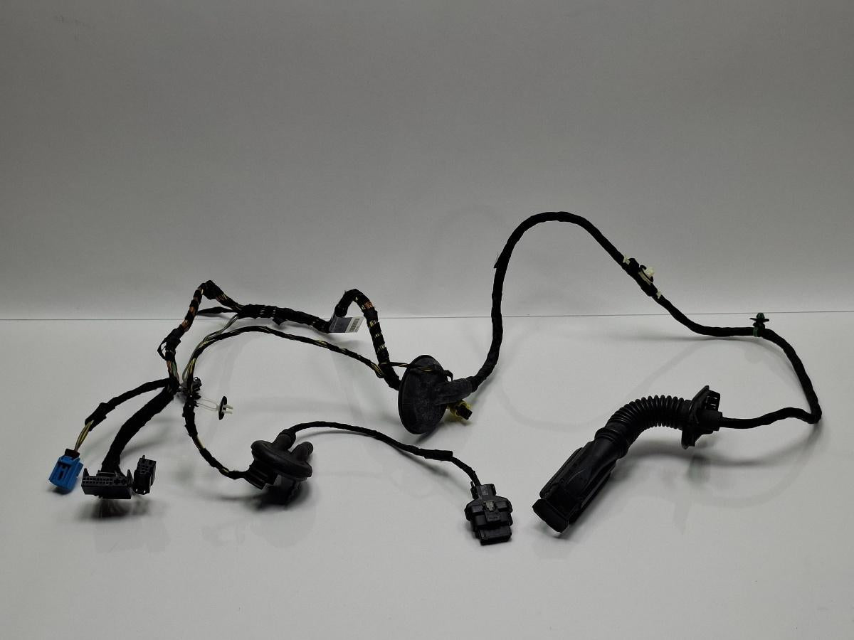 Instalatie electrica usa dreapta fata AUDI A3 Sportback 8VA, 8VF 2012 - > TDI CLHA 8V4971030