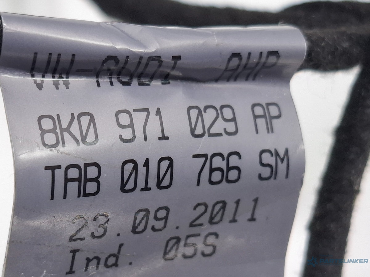 Instalatie electrica usa stanga fata AUDI A4 IV 8K2, B8 2007 - 2015 TDI CAGB, CJCB, CSUB 8K0971029AP