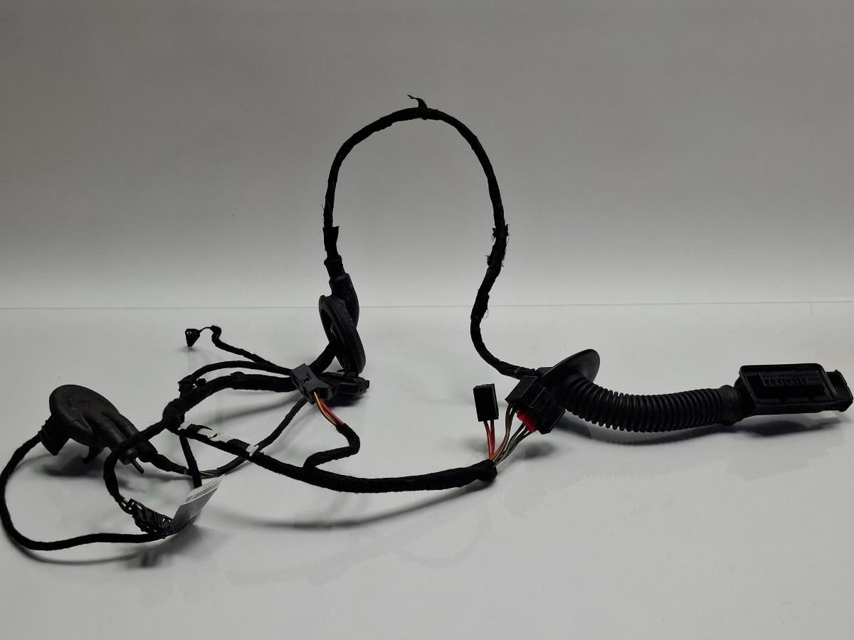 Instalatie electrica usa stanga spate AUDI A4 IV 8K2, B8 2007 - 2015 TDI CAGB, CJCB, CSUB 8K0971687AG