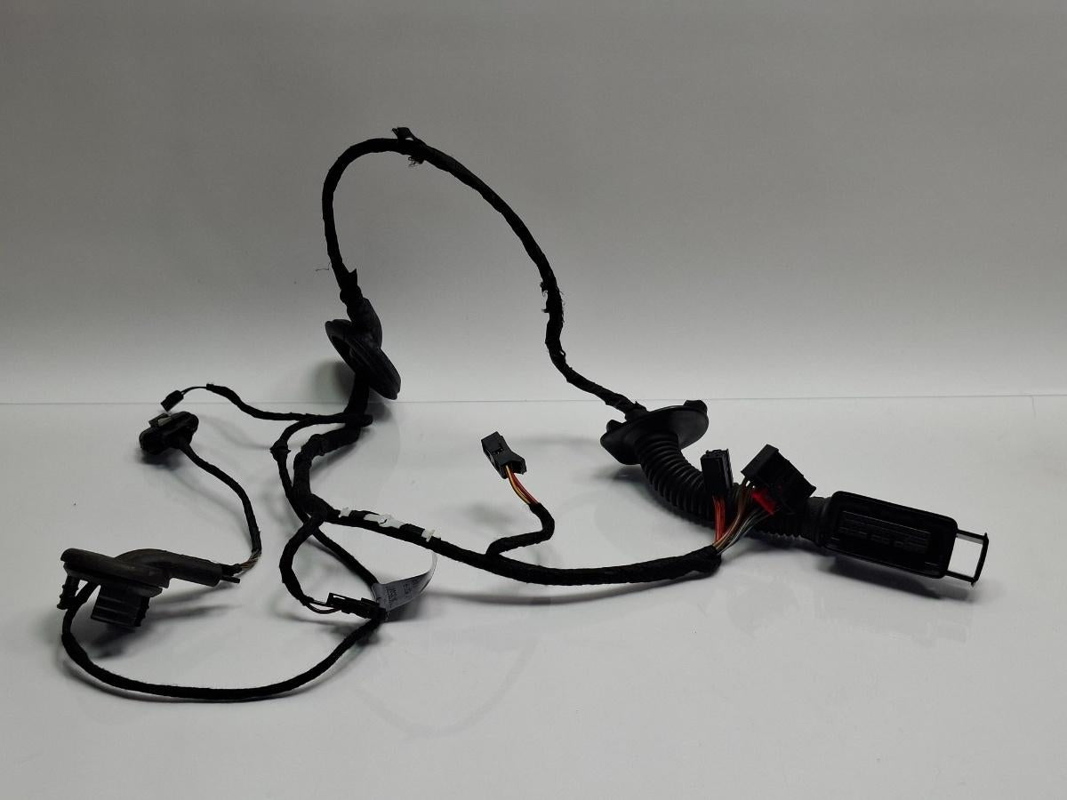 Instalatie electrica usa stanga spate AUDI A4 IV 8K2, B8 2007 - 2015 TDI CAGB, CJCB, CSUB 8K0971687AG