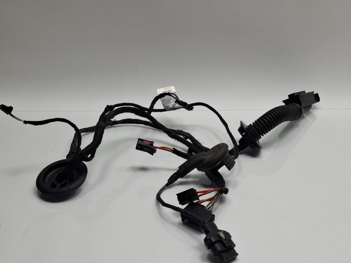 Instalatie electrica usa stanga spate AUDI A4 IV 8K2, B8 2007 - 2015 TDI CAGB, CJCB, CSUB 8K0971687AG