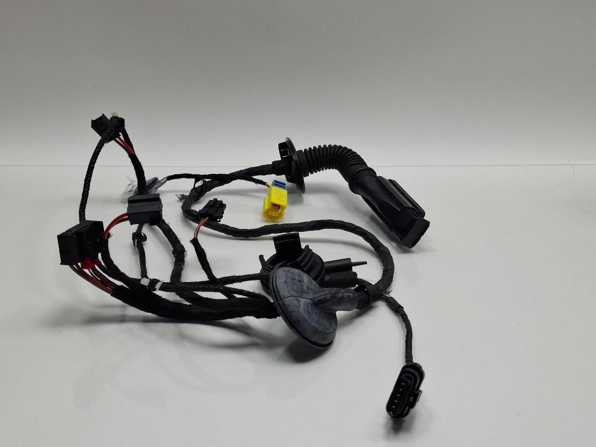 Instalatie electrica usa stanga fata AUDI A4 IV 8K2, B8 2007 - 2015 TDI CAGB, CJCB, CSUB 8K0971030AP
