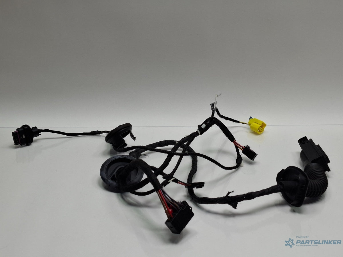 Instalatie electrica usa stanga fata AUDI A4 IV 8K2, B8 2007 - 2015 TDI CAGB, CJCB, CSUB 8K0971030AP