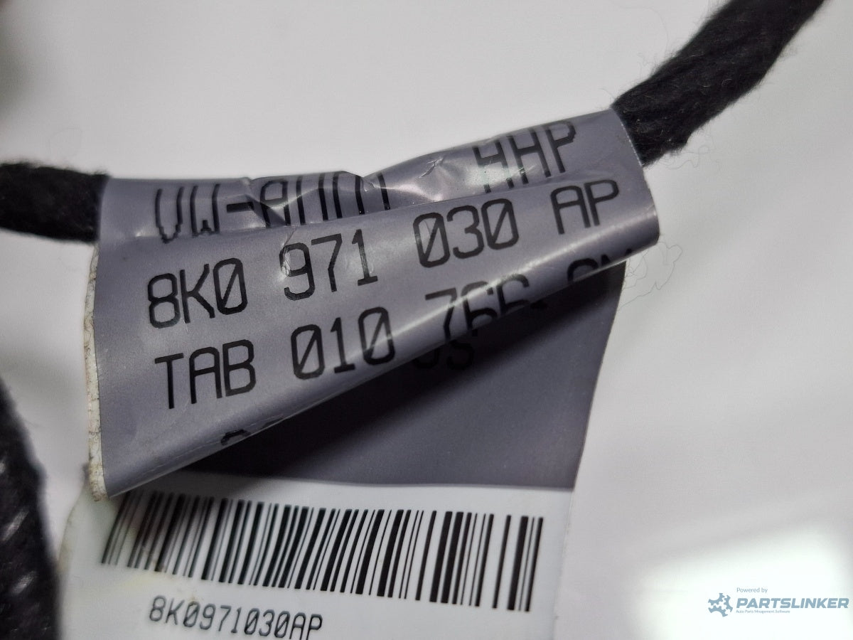 Instalatie electrica usa stanga fata AUDI A4 IV 8K2, B8 2007 - 2015 TDI CAGB, CJCB, CSUB 8K0971030AP