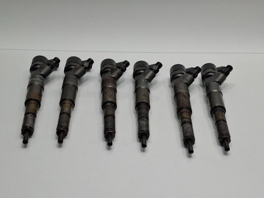 Injectoare BMW 5 E39 1995 - 20033.0 530 d M57 D30 (306D1) 0445110047