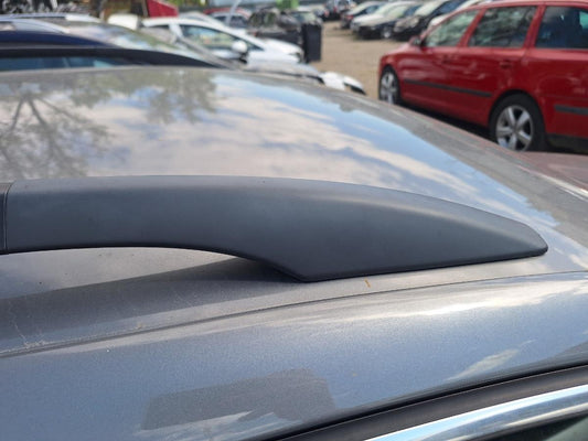 Capac șine bară acoperiș VOLKSWAGEN PASSAT Variant 3C5 2008 1.9 TDI BLS 77KW|105HP 2008