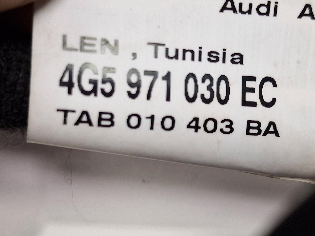 Instalatie electrica usa dreapta fata AUDI A6 IV Avant 4G5, C7, 4GD 2011 - 2018 2.0 TDI CSUD, DDCB 4G5971030EC