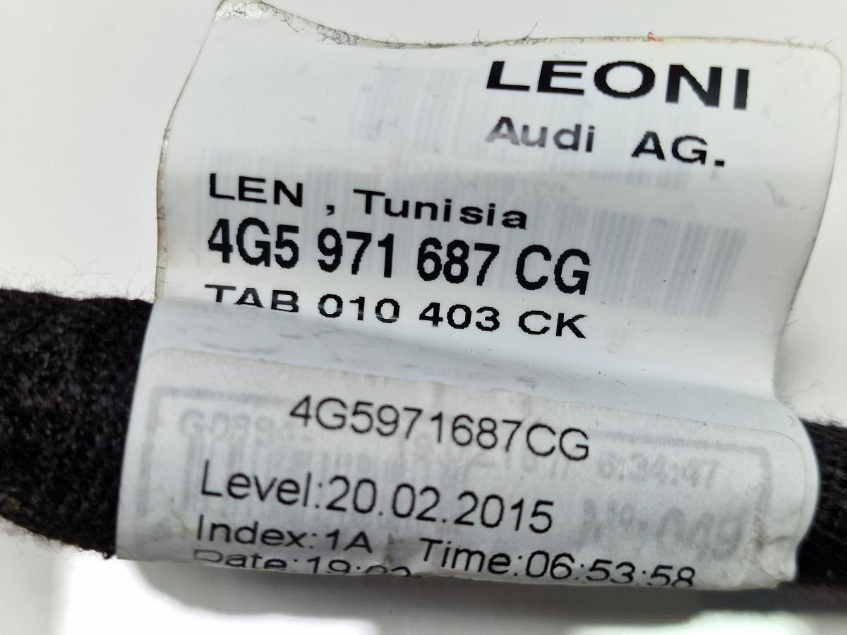 Instalatie electrica usa stanga spate AUDI A6 IV Avant 4G5, C7, 4GD 2011 - 2018 2.0 TDI CSUD, DDCB 4G5971697CG
