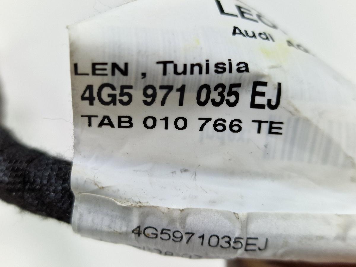 Instalatie electrica usa stanga fata AUDI A6 IV Avant 4G5, C7, 4GD 2011 - 2018 2.0 TDI CSUD, DDCB 4G5971035EJ