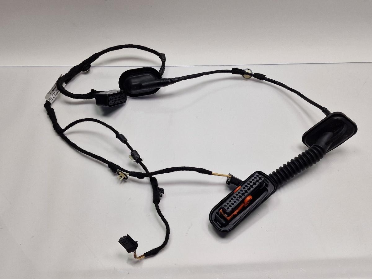 Instalatie electrica usa dreapta spate VOLKSWAGEN JETTA IV 162, 163, AV3, AV2 2009 -> 1.2 TSI CBZB 5C7971694G