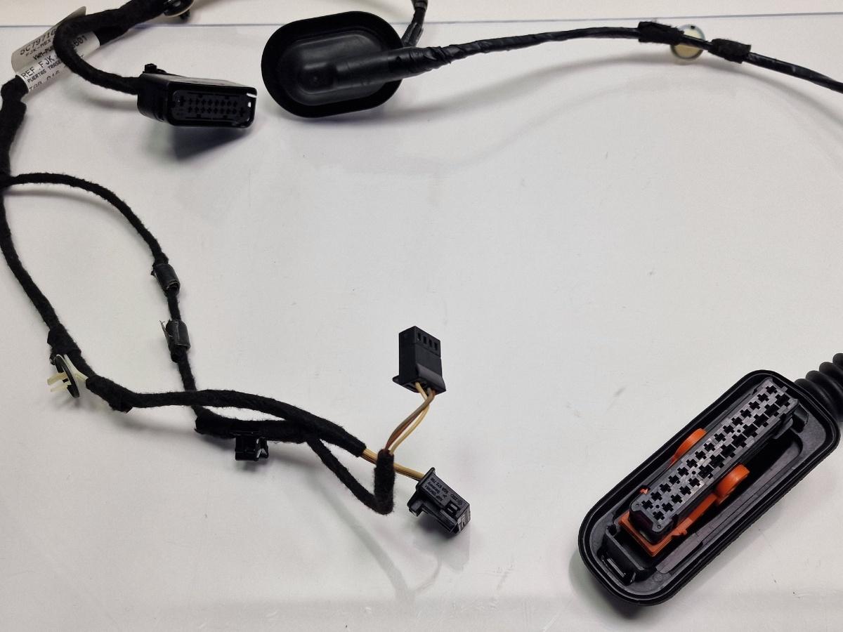 Instalatie electrica usa dreapta spate VOLKSWAGEN JETTA IV 162, 163, AV3, AV2 2009 -> 1.2 TSI CBZB 5C7971694G