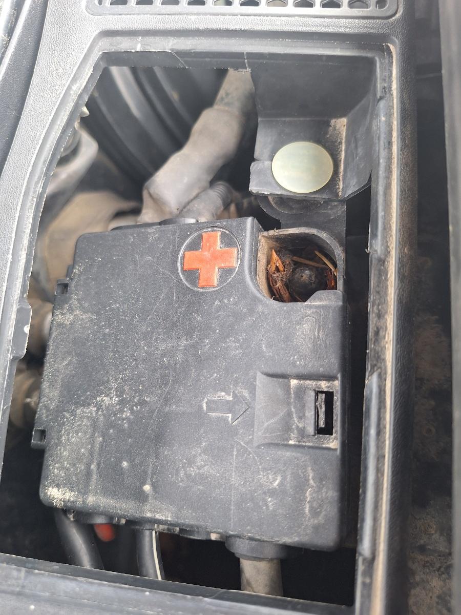 Cablu borna pozitiva (baterie) AUDI A4 IV Avant 8K5, B8 2007 - 2015 2.0 TDI CAGA, CJCA, CMEA, CMFA