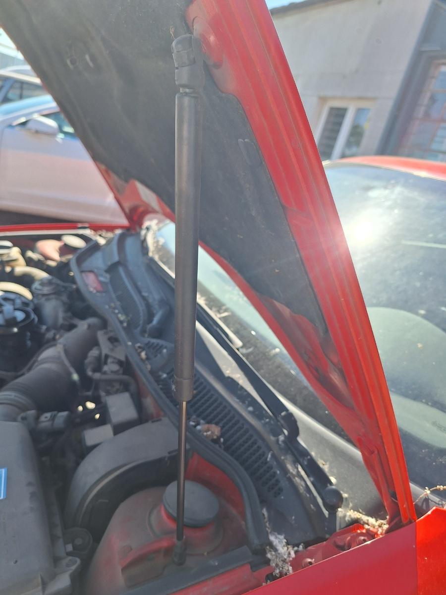 Amortizor capota fata AUDI A3 8L1 1996 - 2006 1.9 TDI ASZ