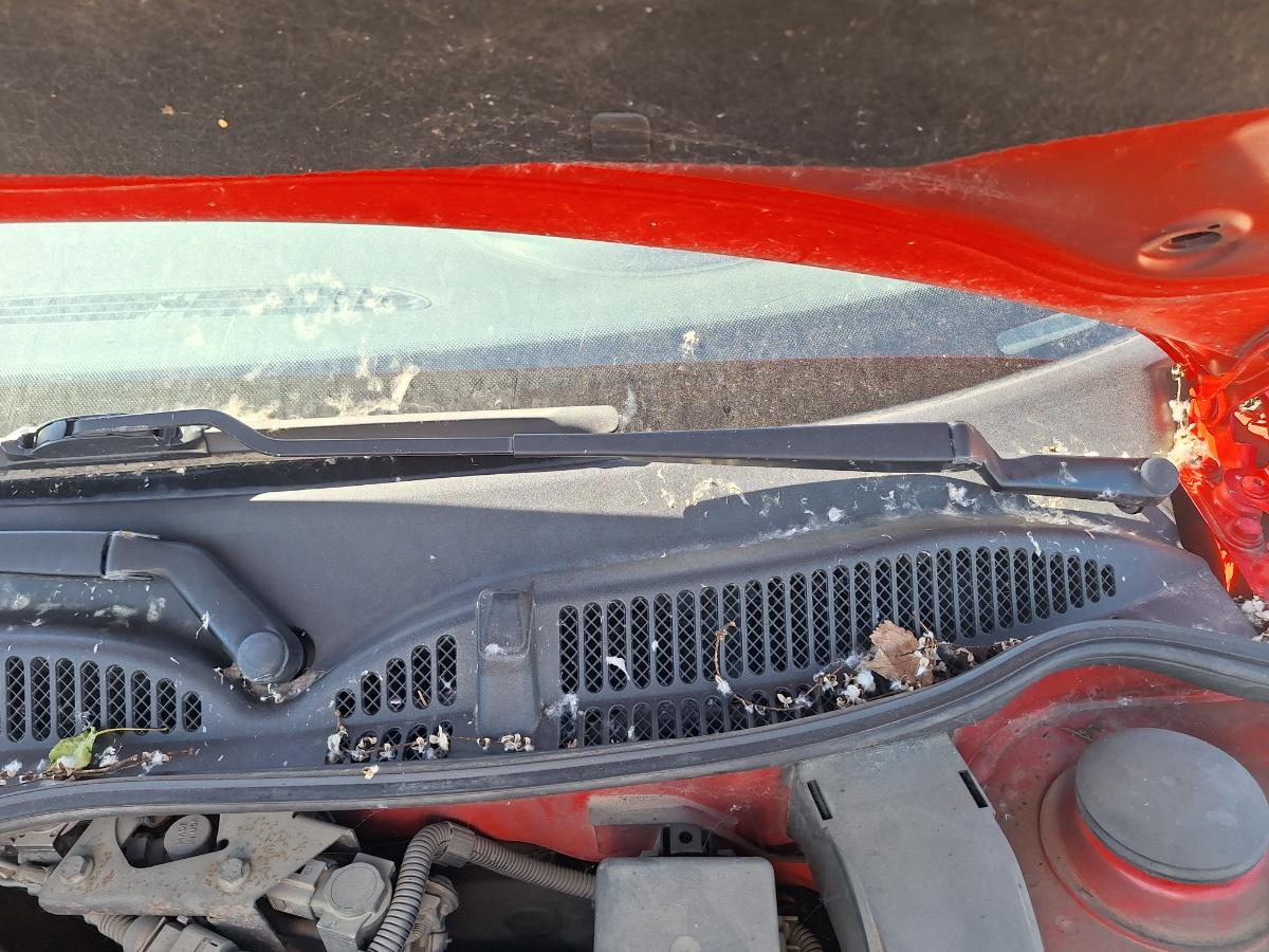 Brat stergator parbriz stanga AUDI A3 8L1 1996 - 2006 1.9 TDI ASZ