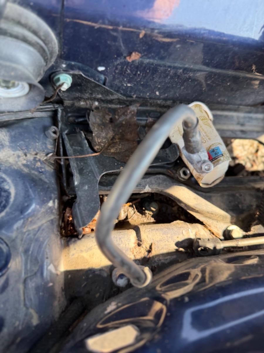 Cablu borna negativa (baterie) VOLKSWAGEN PASSAT 3B3 2000 - 2005 1.9 TDI AVF, AWX 8D1971235