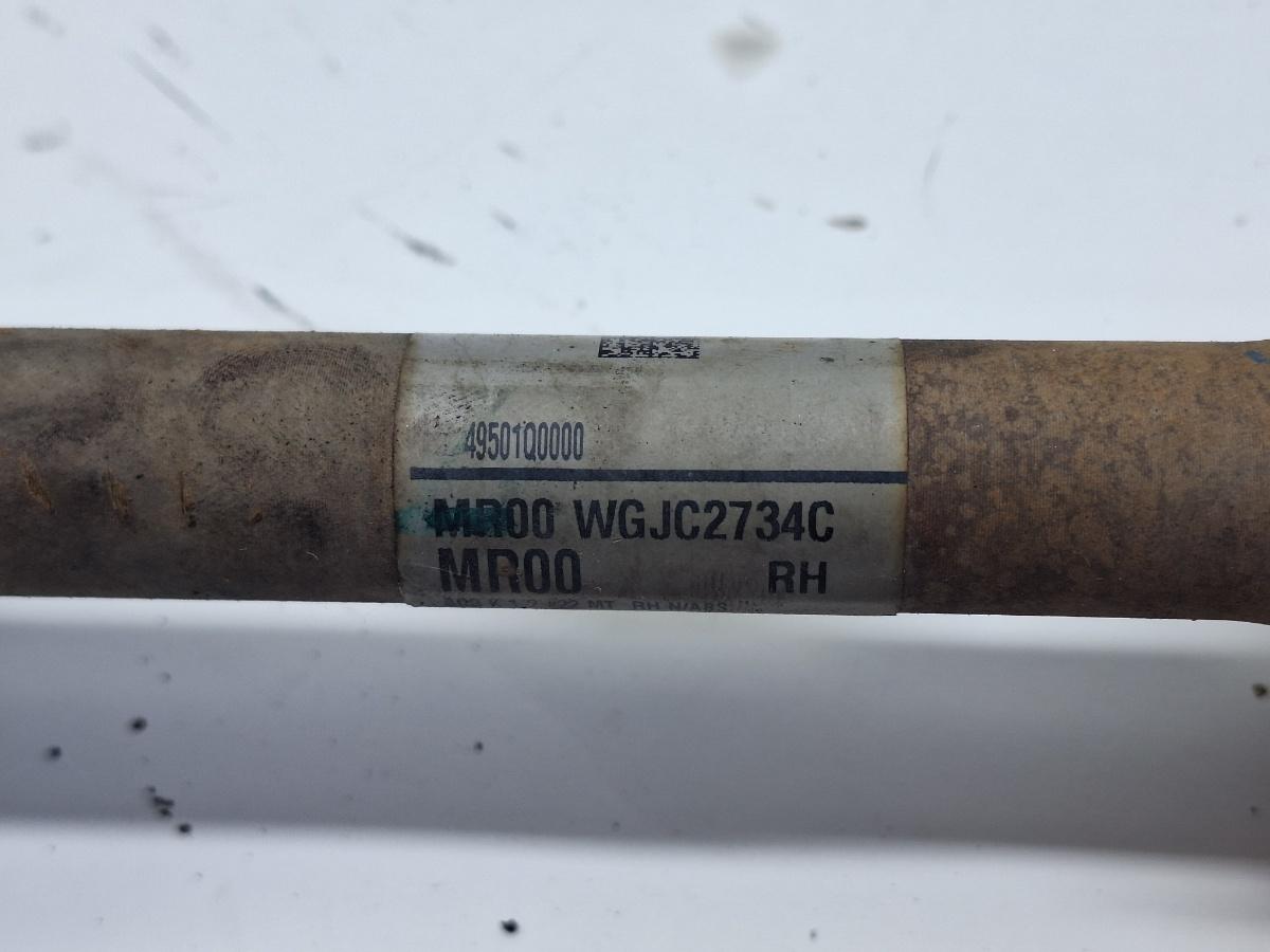 Planetara HYUNDAI i20 2024 2024