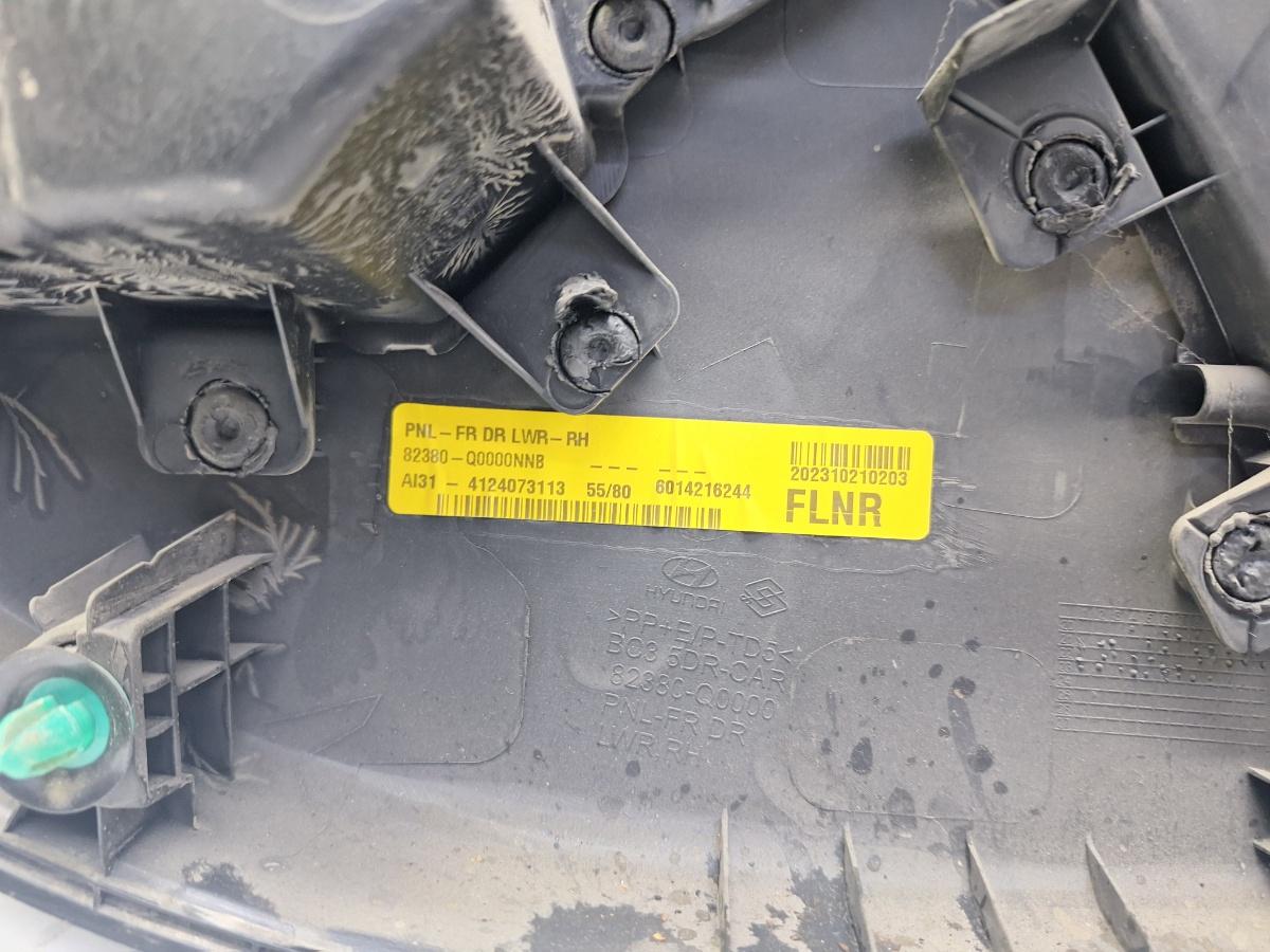 Panou usa dreapta fata HYUNDAI i20 [ 2020 -> ] 1.2 MPi G4LF 82380Q0000NNB