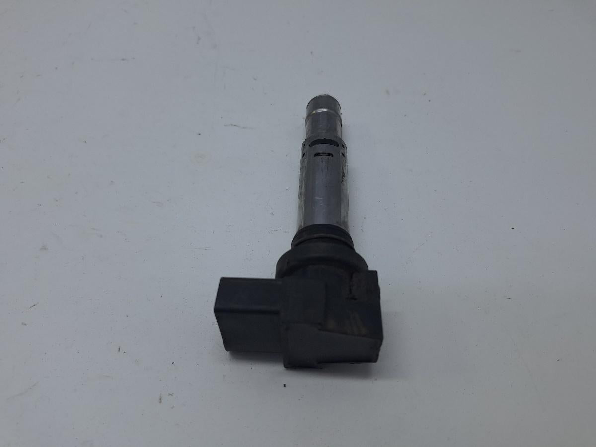 Bobina de aprindere de inalta tensiune SKODA RAPID II NH3 2012 -> , SEAT CORDOBA III 6L2 2002 - 2009 1.4 16V BBY, BKY 040102030