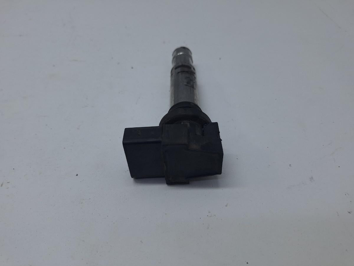 Bobina de aprindere de inalta tensiune SEAT CORDOBA III 6L2 2002 - 2009 1.4 16V BBY, BKY Beru 0040102030