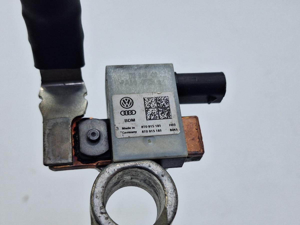 Cablu borna negativa (baterie) AUDI A6/S6 IV Saloon 4G2, C7, 4GC 2010 - 2018, AUDI A4 IV Avant 8K5, B8 2007 - 2015 2.0 TDI CJCD, CMFB, CSUA 8T0915181