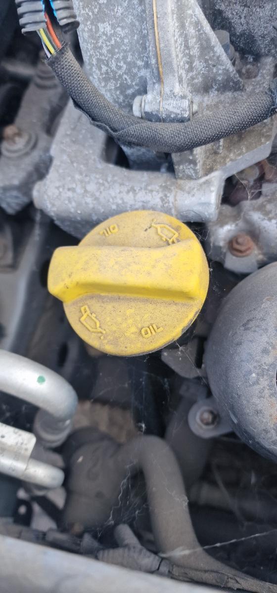 Buson umplere ulei OPEL CORSA C F08, F68, X01 2000 - 2009 1.3 CDTI Z 13 DT
